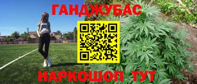 крисы Ирбит