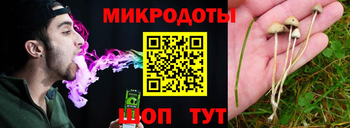 Галлюциногенные грибы Psilocybe  купить  цена  Вход с VPN  Магнитогорск  Галлюциногенные грибы Psilocybe 